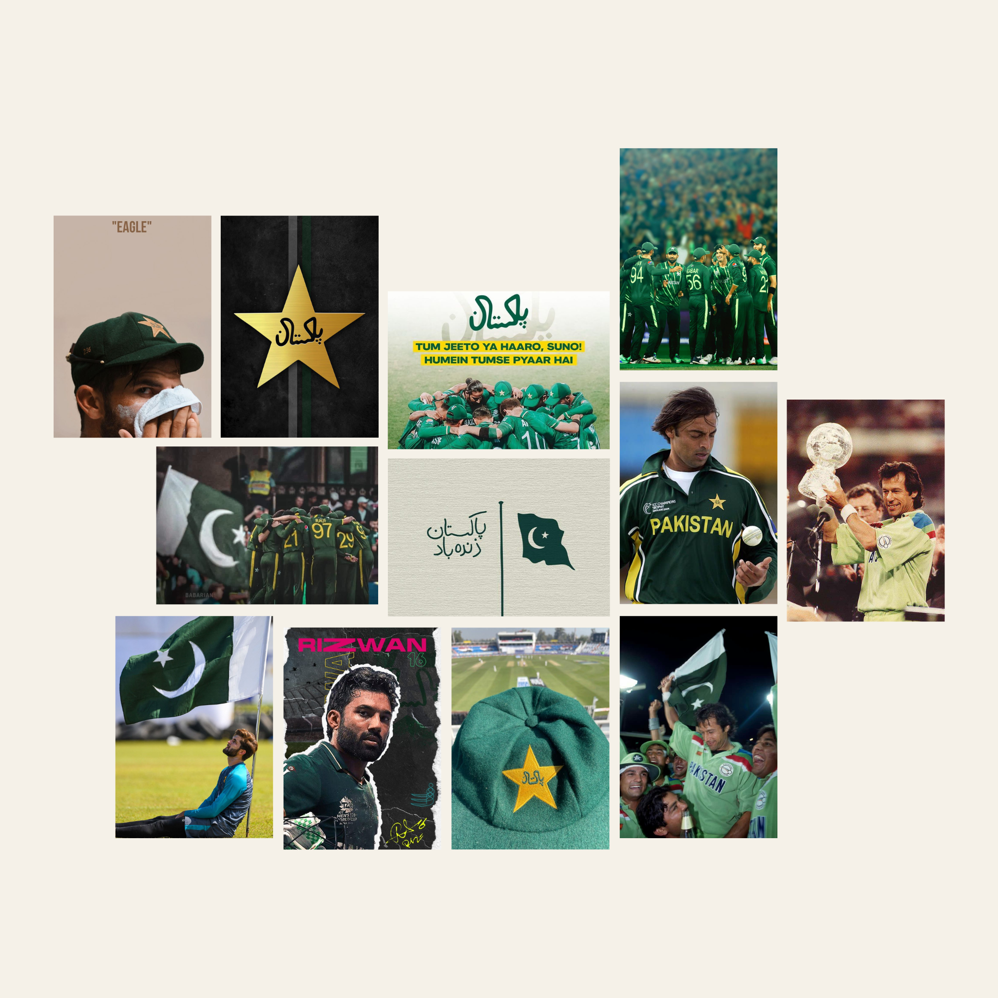 Shaheen – Premium Posters ( A4 | 260G )