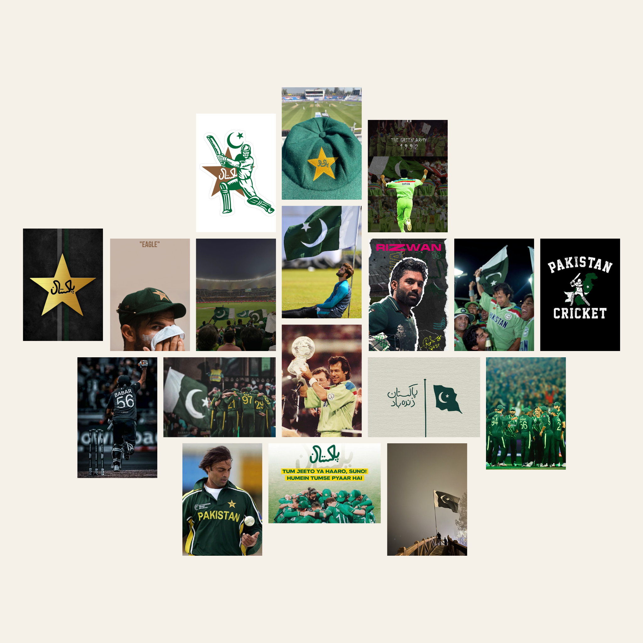 Shaheen – Premium Posters ( A4 | 260G )